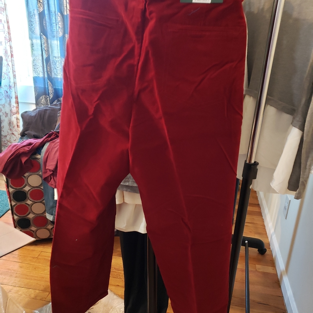 Clothes - Picture 15 of 16